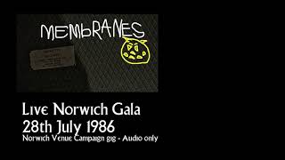 Membranes live Norwich Gala July 1986