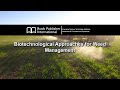 Biotechnological Approaches for Weed Management