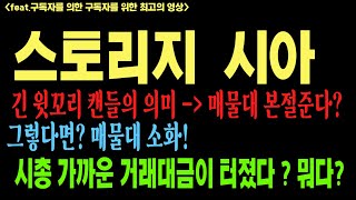 시아 스토리지 시아코인 코인전망 비트코인 이더리움 도지코인