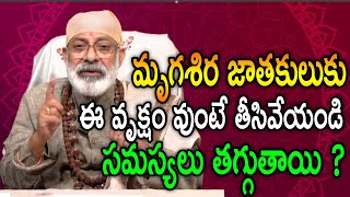 MRUGASHIRA NAKSHATRA REMOVE THE TREE |మృగశిర జాతకులుకు ఈ వృక్షం వుంటే తీసివేయండి సమస్యలు తగ్గుతాయి ?