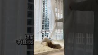 空调盖被 中国咪必备～ 这是我的小猪猫呆萌猫猫华凌新风华凌空调全听用户的