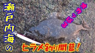 良いサーフがなくても獲れる。瀬戸内海　ヒラメ最盛期！