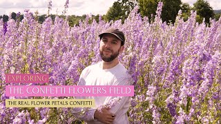 EXPLORING THE COLOURFUL CONFETTI FLOWER FIELD; A CHAT WITH ARTIST HAYLEY REYNOLDS!