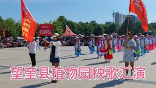 望奎县植物园秧歌汇演~中国东北老传统扭秧歌/二人转