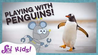 Penguins, Birds That Fly in Water! | SciShow Kids