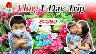 Vlog 1 Day trip : เที่ยวสวนทิวลิป ระยอง Miracle of climate Dome