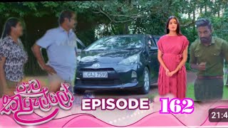 Paata Kurullo - පාට කුරුල්ලෝ | Episode 162 | 2024-12-23| Hiru TV today