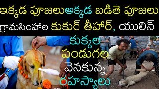 ఇక్కడ పూజలు అక్కడ బడితె పూజలు | kukur tihar festival nepal telugu | yulin dog meat festival telugu