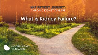 Living Well with Kidney Failure, Part 1: What is Kidney Failure?