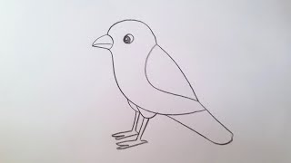 how to draw sparrow drawing easy step by step@DrawingTalent