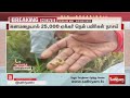 கனமழையால் 25 000 ஏக்கர் நெல் பயிர்கள் நாசம் heavy rain farmers paddy sathiyamtv