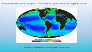 Ocean Fertilization by Bouyant Flakes