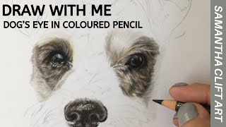 Realistic Dog's Eye in Coloured Pencil - REAL TIME Tutorial/ Draw with Me