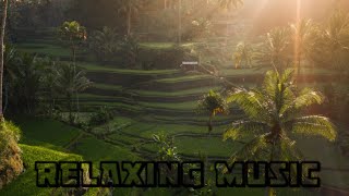 Relaxing,Calm Flute/Suling Sundanese West Java Music | Amazing Indonesia Nature