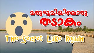 Haeer Lake Park Riyadh | റിയാദിലെ അൽ ഹയർ തടാകം  | The Secret Lake Riyadh