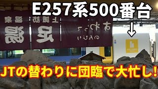 【E257系500番台 JTの替りに団臨で大忙し！】