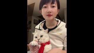 猫：祝我的祖国繁荣昌盛，国泰民安！#猫咪 #银渐层 #我和我的猫 #国庆  #祖国在我心中