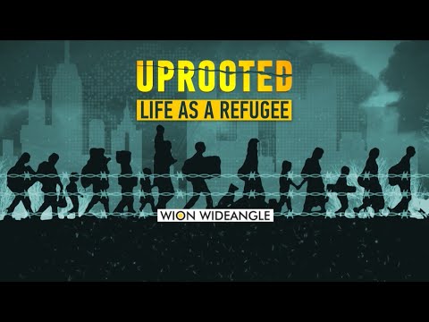 June 20 declared National Refugee Day