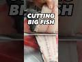 CUTTING BIG FISH #tanigue #cuttingbigfish #short