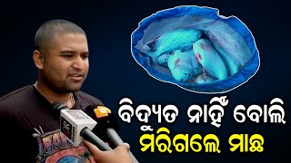 ବିଦ୍ୟୁତ ନାହିଁ ବୋଲି ମରିଗଲେ ମାଛ   | Odisha Reporter