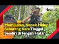 Memilukan, Nenek Hidup Sebatang Kara Tinggal Sendiri di Tengah Hutan