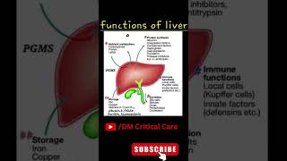 Functions of Liver //Liver Functions #liver #liverfunction