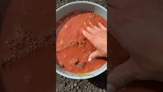 WILD CLAY pt 2! #wildclay #clay #pottery