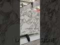 arabescato corchia white marble marble whitemarble arabescato naturalstone walldecor