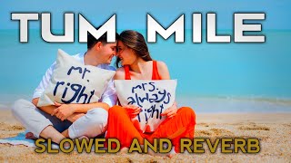 Tum Mile (Slowed and Reverb) - Javed Ali | Lofi song | slowed reverb online