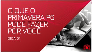 Primavera P6 - Dica 01  - O que ele pode fazer por você?