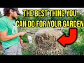 Two Composting Methods to Solve All of Your Garden Problems!