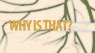 Root Cause Analysis