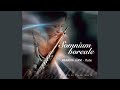 Flute Concertino: I. Allegro