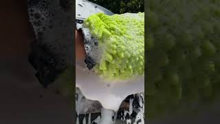 Wash \u0026 Wax with Mr. Pink Foam Party! #shortsvideo #shorts #howto #detailing #diy #cars #truck