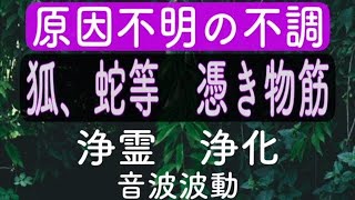 【憑き物】【除霊】原因不明の不調　狐　蛇など憑き物筋　浄霊🔥浄化【動物霊】【波動】【祓う】【退散】