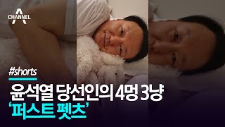 윤석열 당선인의 4멍 3냥 '퍼스트 펫츠' / 채널A #shorts