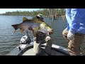 How to Catch Barramundi - Bagley Minnow B 05 with Vinnie Versfeld