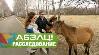 В угодьях Януковича устраивают запрещенные развлечения? Ч.1 - Абзац! - 04.04.2017