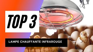 Top 3 : Meilleure lampe chauffante infrarouge pour poussins et animaux de compagnie