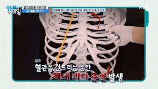 골다공증 방치하면 과다출혈을 부른다? 그 무서운 실체는? MBN 230808 방송