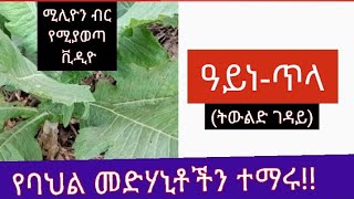 245.ዓይነ-ጥላ../ ሴቱንም ወንዱንም ቁሞ ቀር እያደረገ ነው! ባህላዊ መፍትሄ እንሆ! ( @Ethio tube