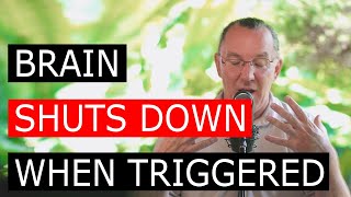 Your Brain 🚨SHUTS DOWN🚨 When Triggered – Here’s Why 🧠