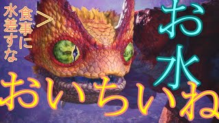 だいぶ派手になったわね。水妖鳥編！【MHW:I】