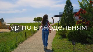 Тур по винодельням Краснодарского края. Выбираем лучшее вино. И как отдохнуть с семьей без алкоголя!