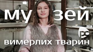 Який вигляд мали уже вимерлі тварини? Дарина Крупська / Тема (Друге життя)