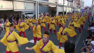 第63回よさこい祭り(2016/8/11)「細木病院グループ」