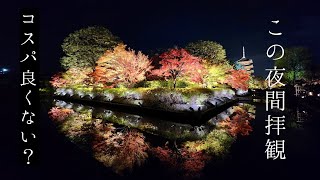 🍁京都紅葉🍁東寺のライトアップがコスパ良すぎて最高だった　Kyoto.Toji