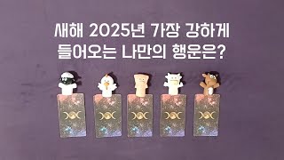 [타로] 새해 2025년 가장 강하게 들어오는 나만의 행운은