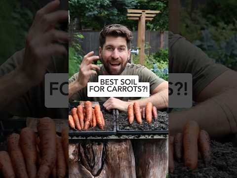 Can carrots grow in caves?