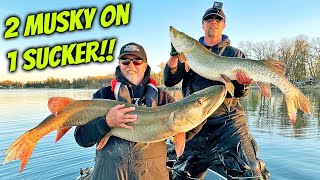 MUSKY DOUBLE HEADER ON 1 SUCKER AT SAME TIME!!! - Most Amazing Catch EVER